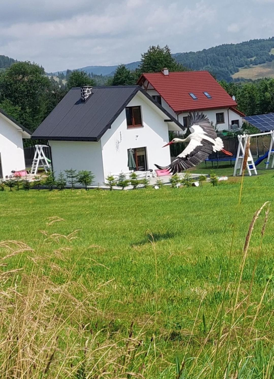 Domek Pod Holica 2 Bieszczady Ustrzyki Dolne Buitenkant foto